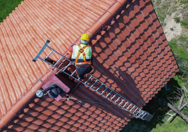 Best Roof Maintenance and Cleaning  in Sandy, UT